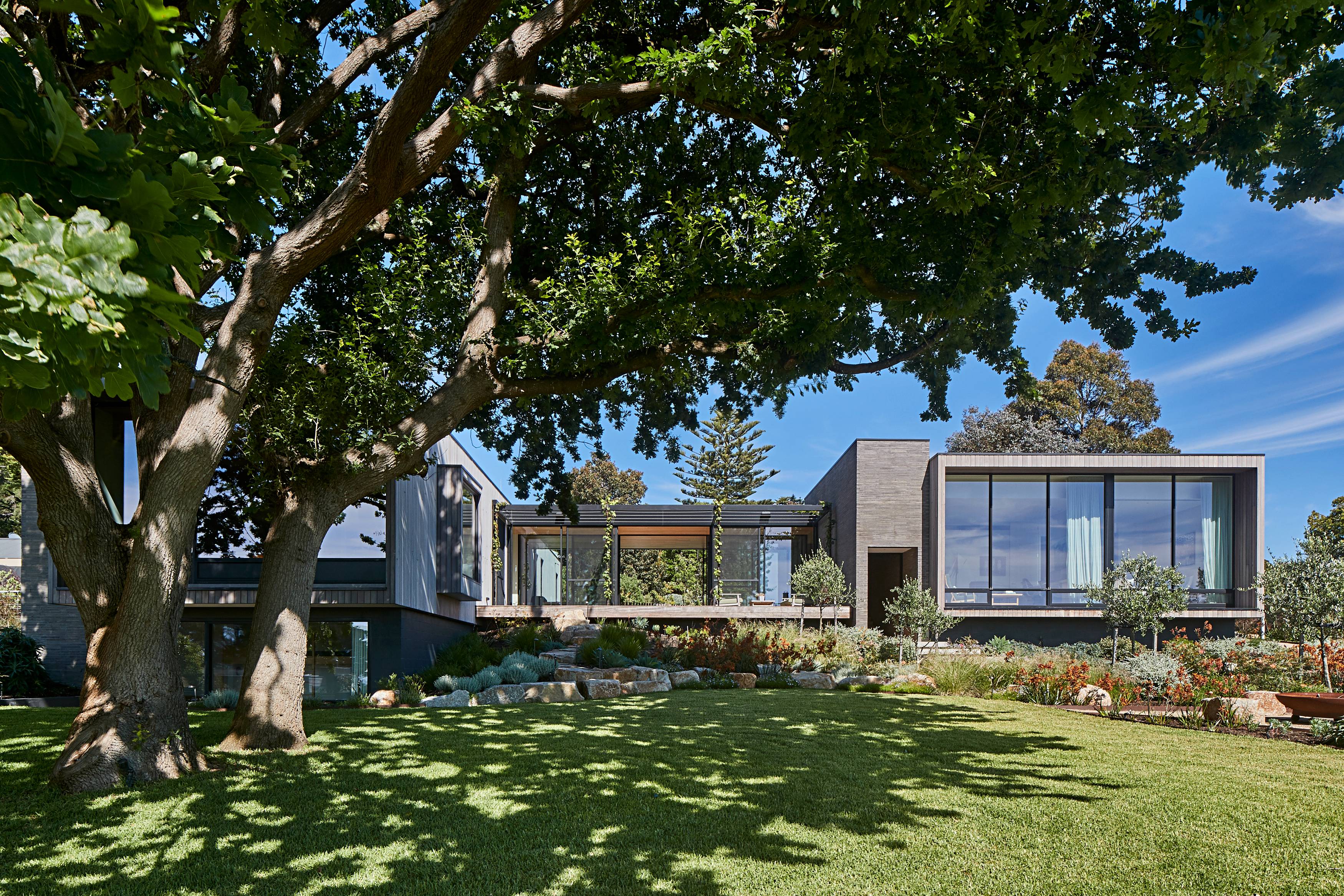 SallyDraper_Flinders_┬®smg_AB1I2142