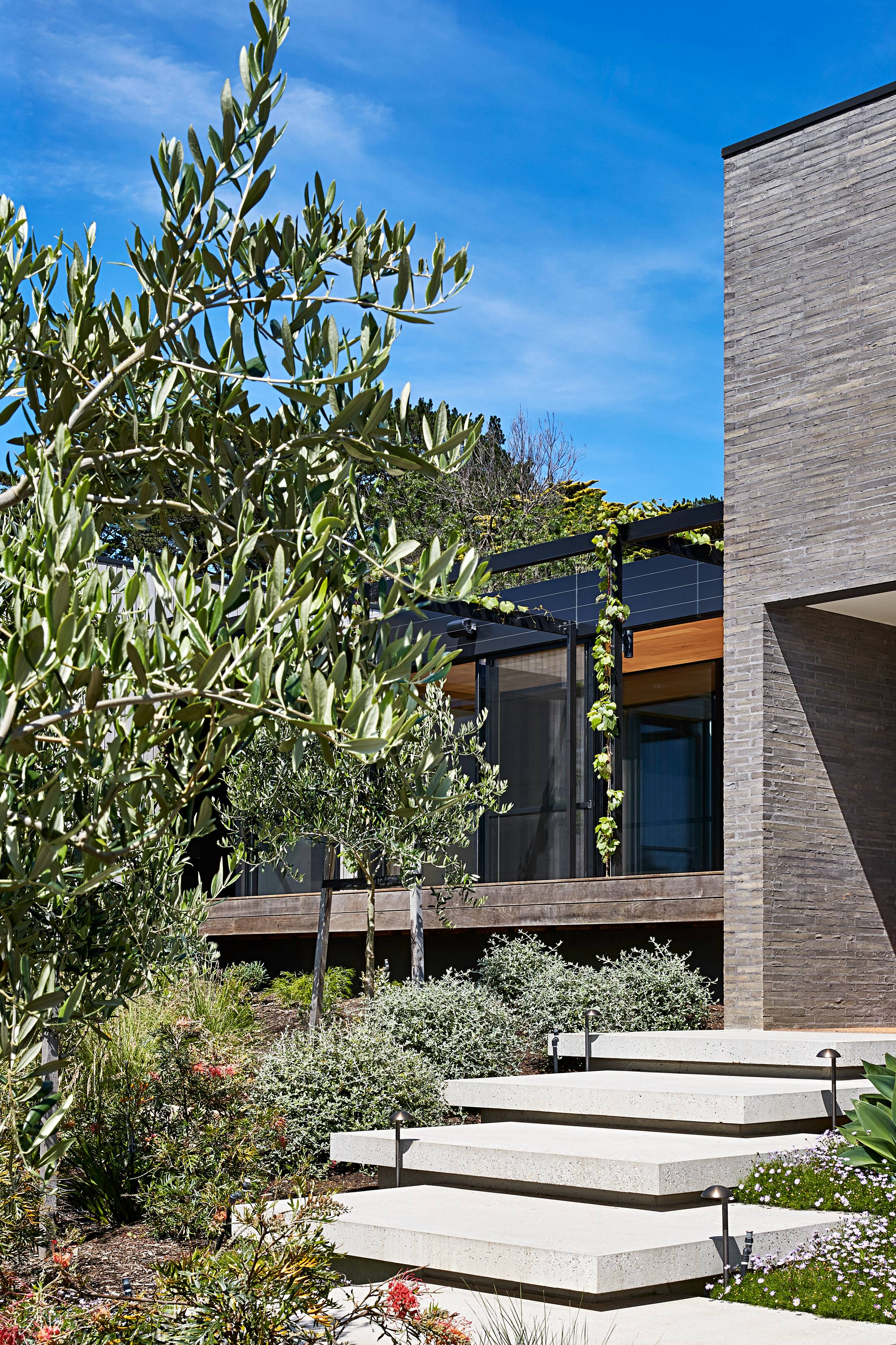 SallyDraper_Flinders_┬®smg_AB1I2271